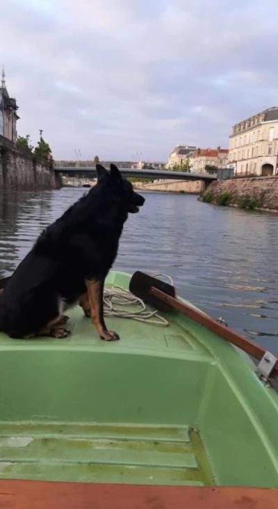 Le Gite Embarque - Gere Par Presta-Zen'Services - Barque Electrique En Supplement Verdun-sur-Meuse ภายนอก รูปภาพ